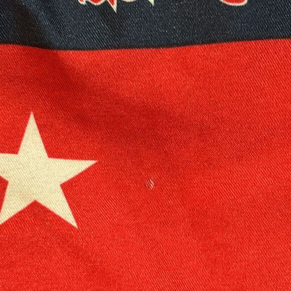 US Polo Association | Stars Stripes Boys Red White Navy Blue Swim Trunks - Picture 14 of 14